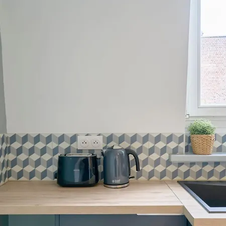 Gares - Duplex Avec Parking Appartement Lille